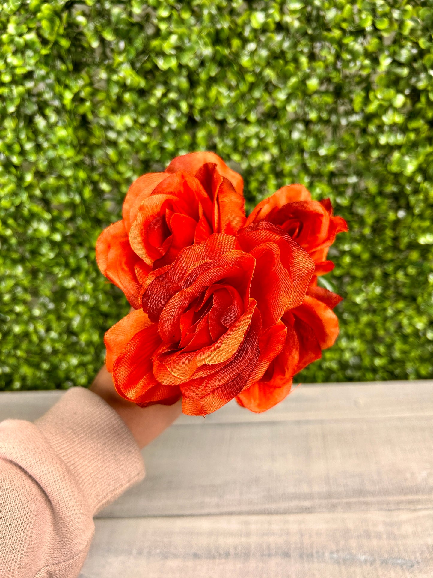 15 Inch Rust Rose Bush