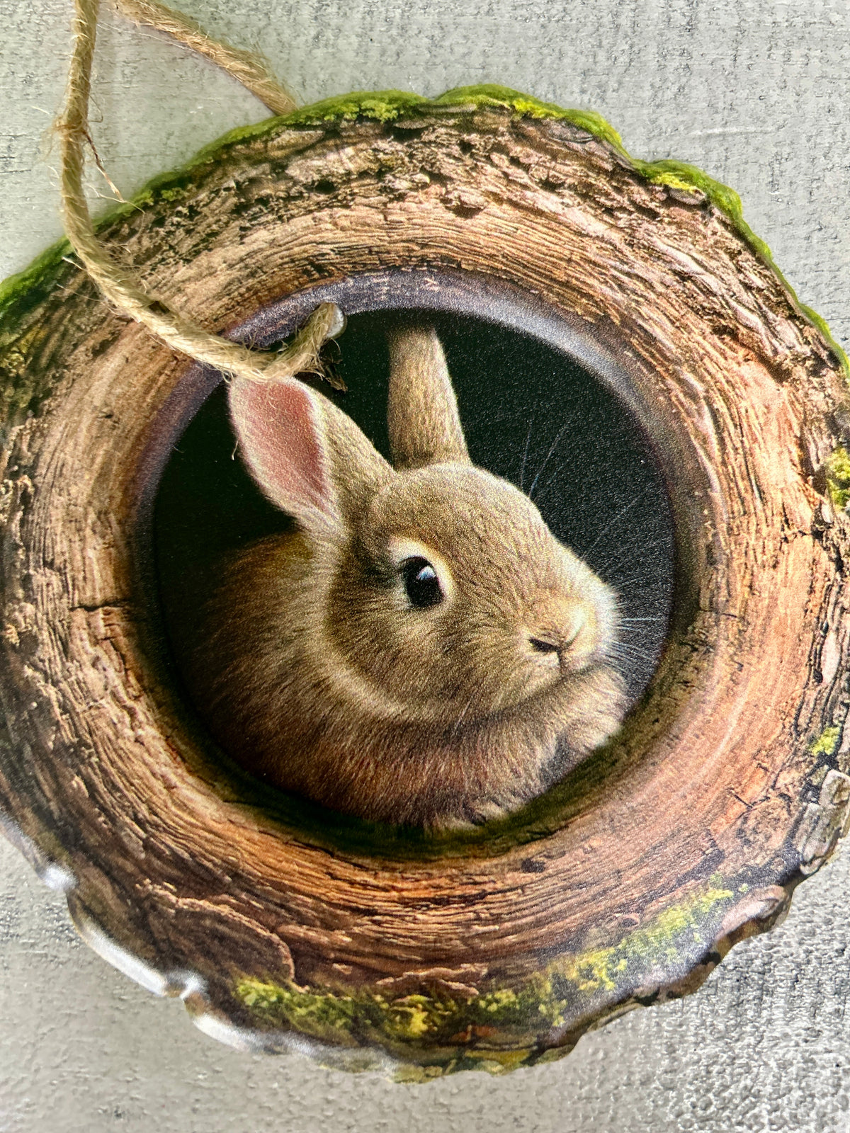 5.25 Inch Bunny In A Tree Sign
