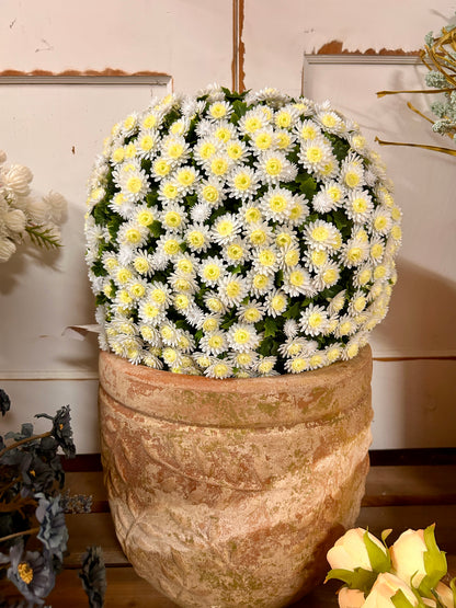 16 Inch Cream Mum Topiary Ball