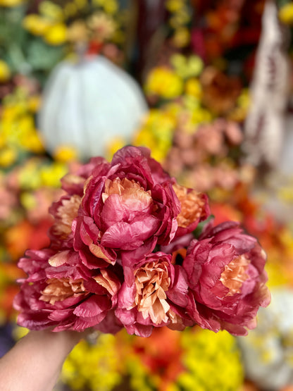 14 Inch Burgundy Peony Bush