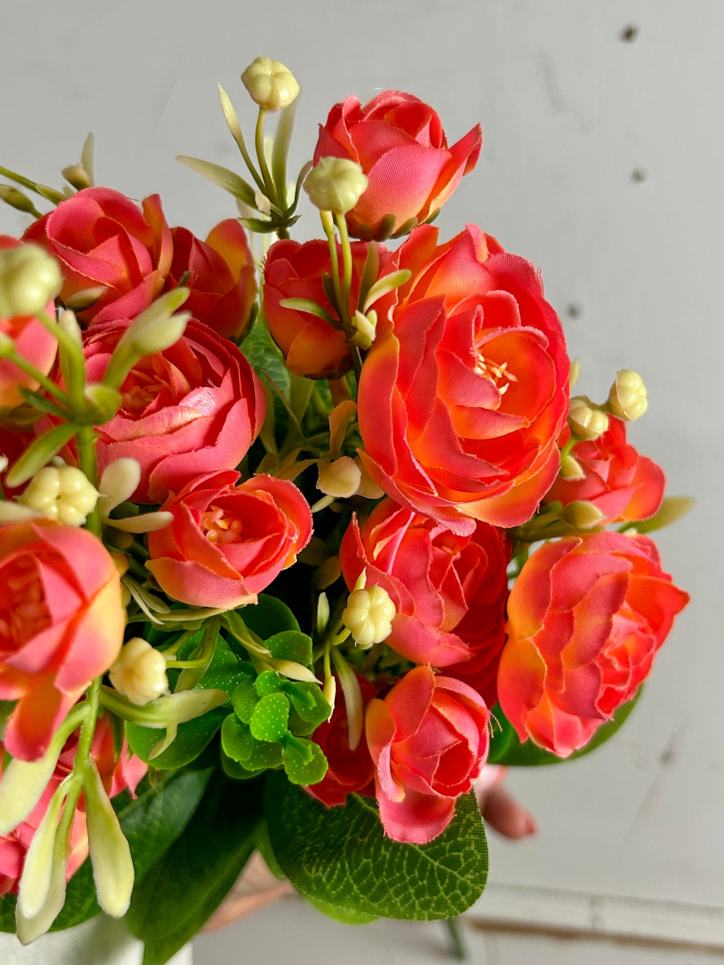 Pink And Orange Mini Ranunculus Bush