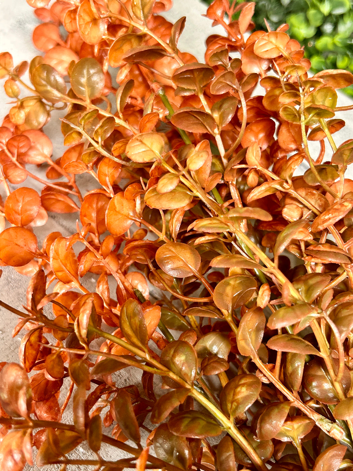 29 Inch Rust Eucalyptus Spray