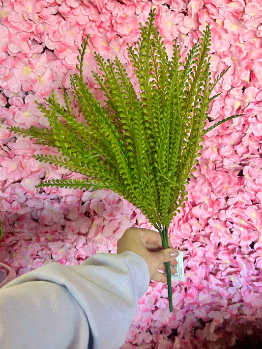 18 Inch Green Peacock Grass Bush