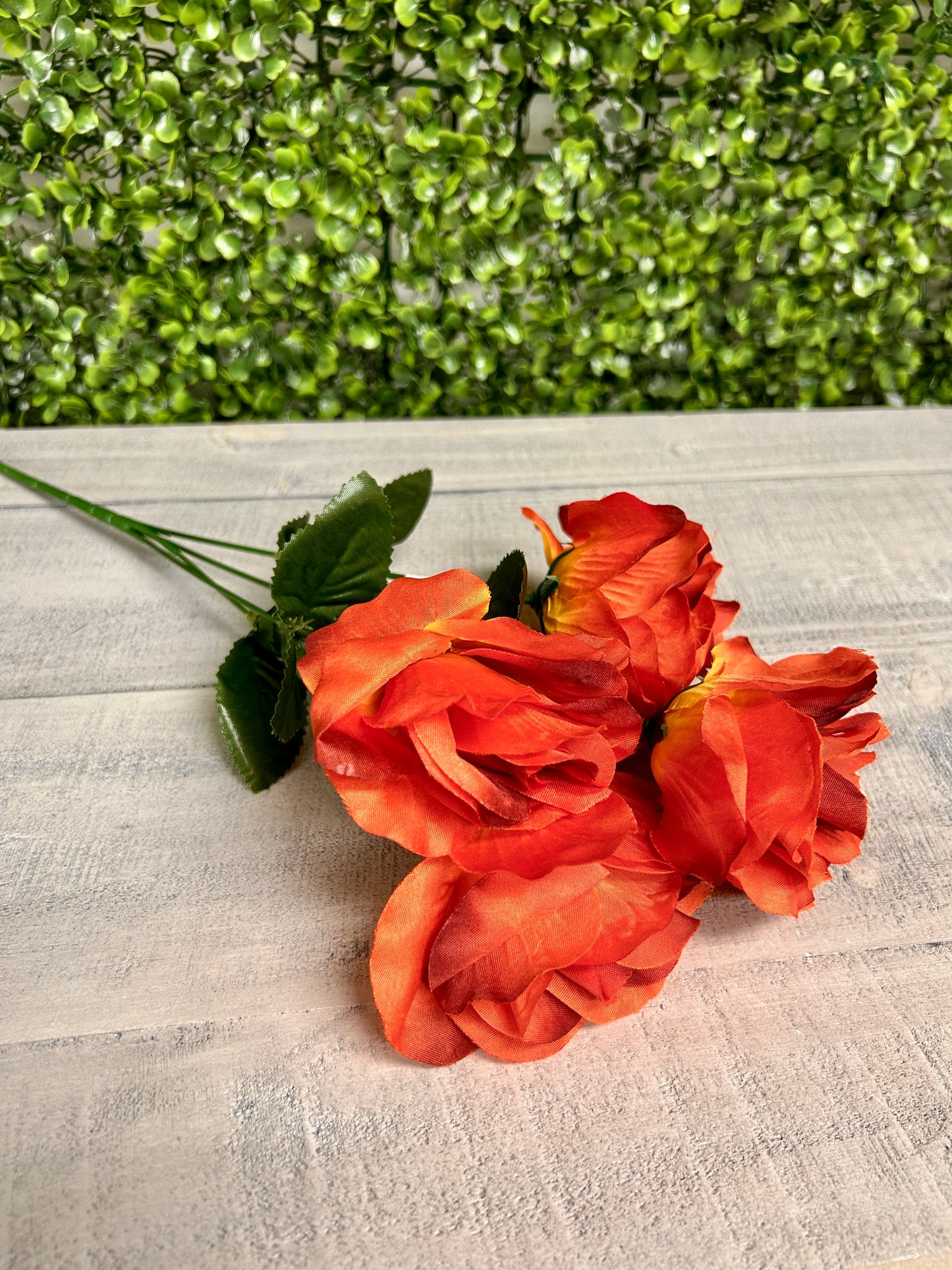 15 Inch Rust Rose Bush