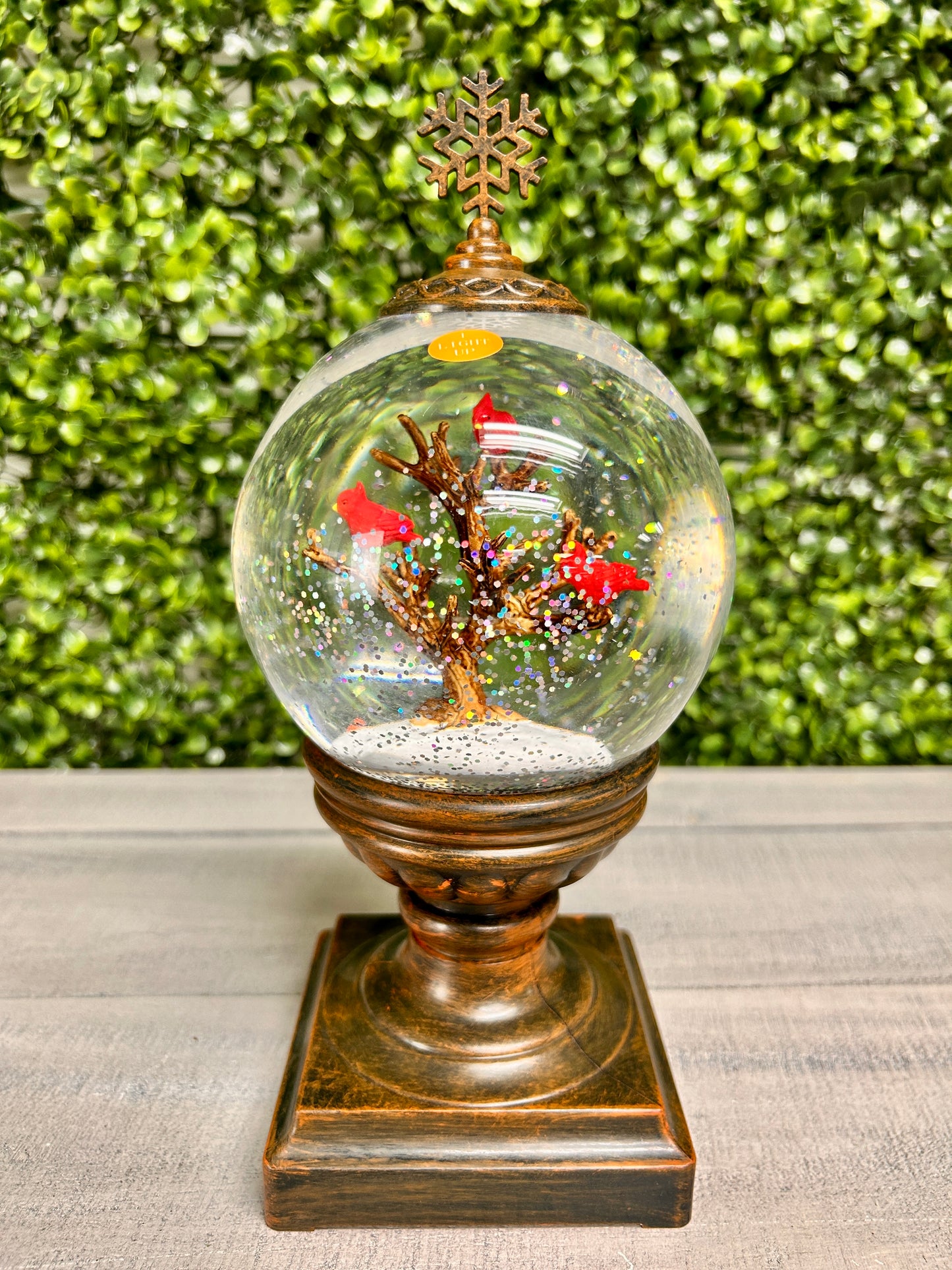 Acrylic Cardinal Globe On Stand With Sound Two Assorted