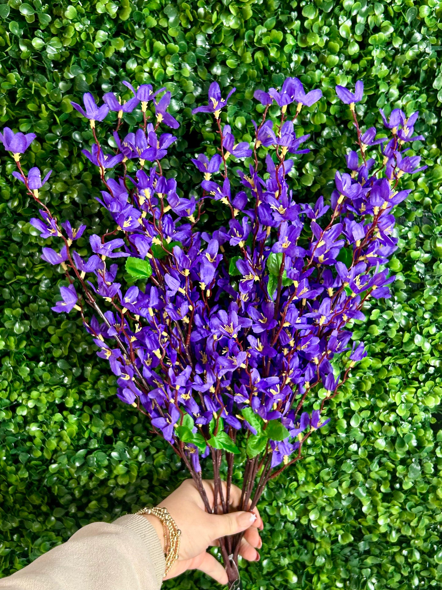 24 Inch Purple Star Blossom Bush