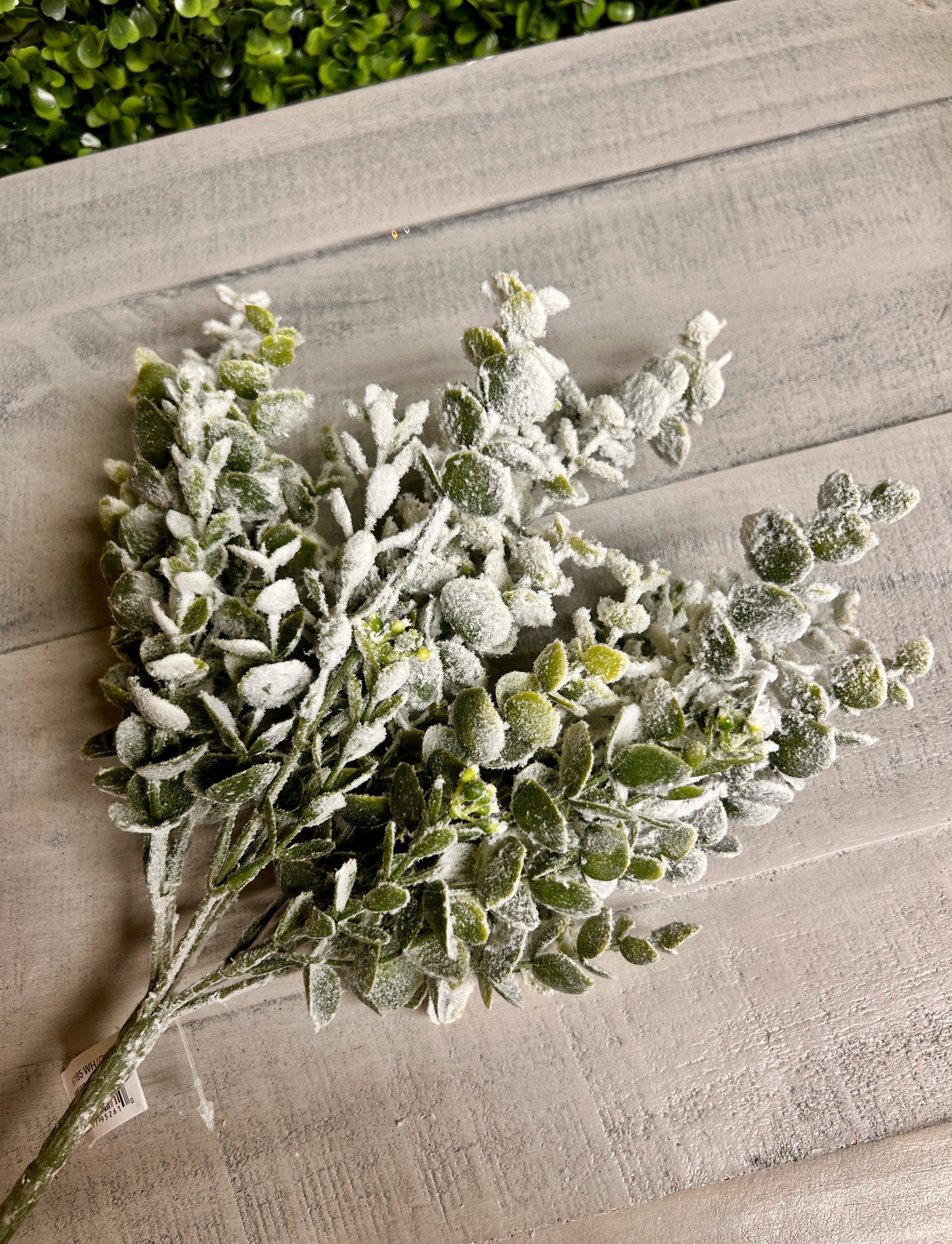 13 Inch Eucalyptus Snow Bush