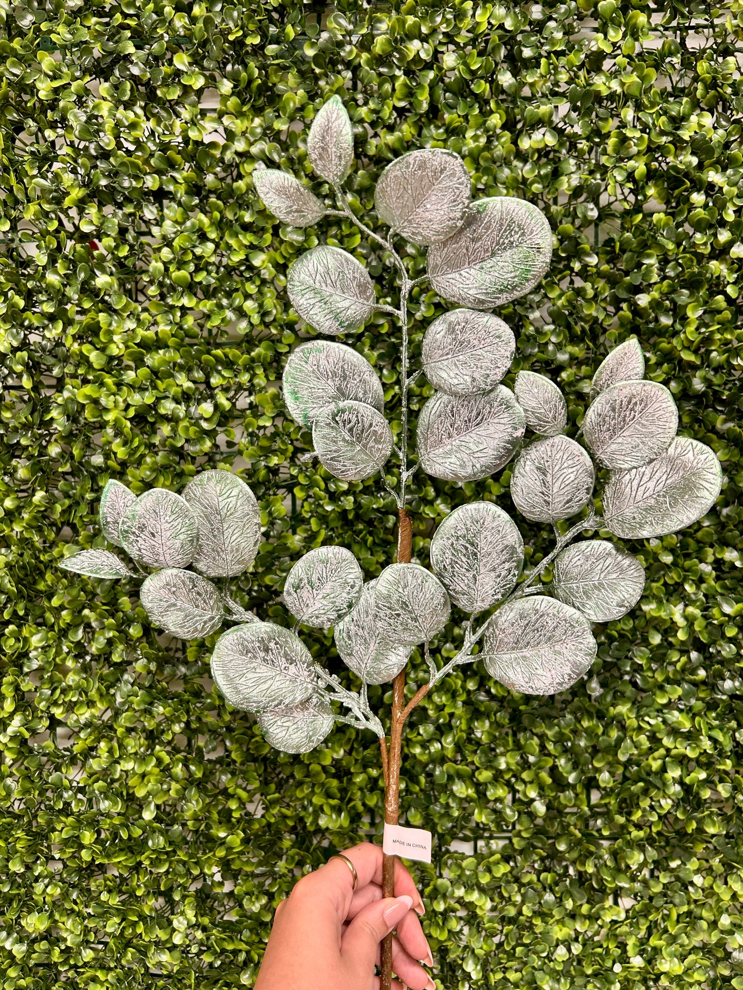 24 Inch Light Blue Eucalyptus Leaf Spray With Frost