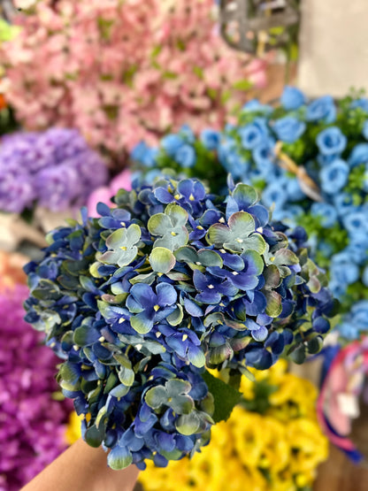 18 Inch Royal Blue Hydrangea Bush