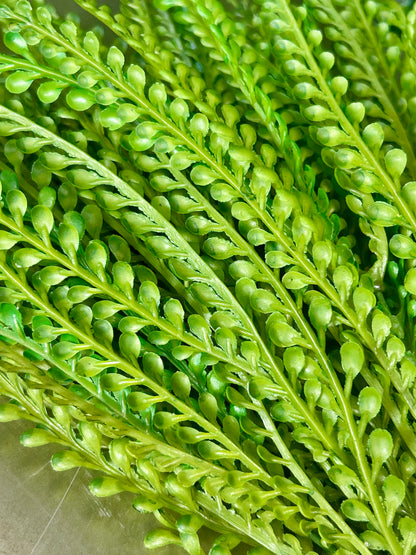 18 Inch Green Peacock Grass Bush