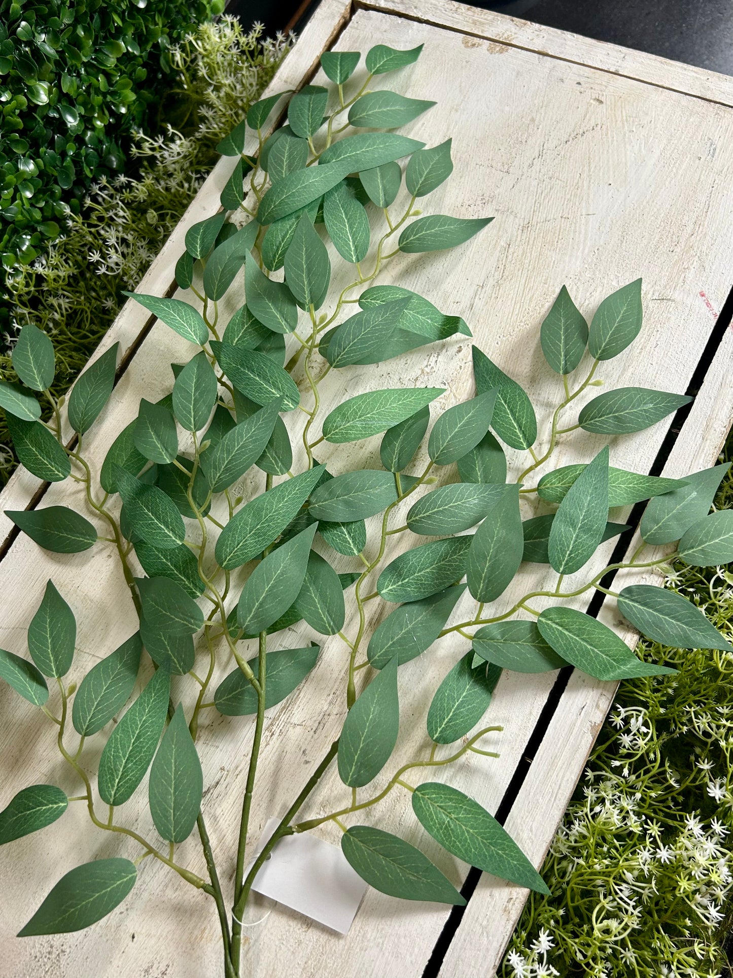 20 Inch Light Green Wisteria Leaf