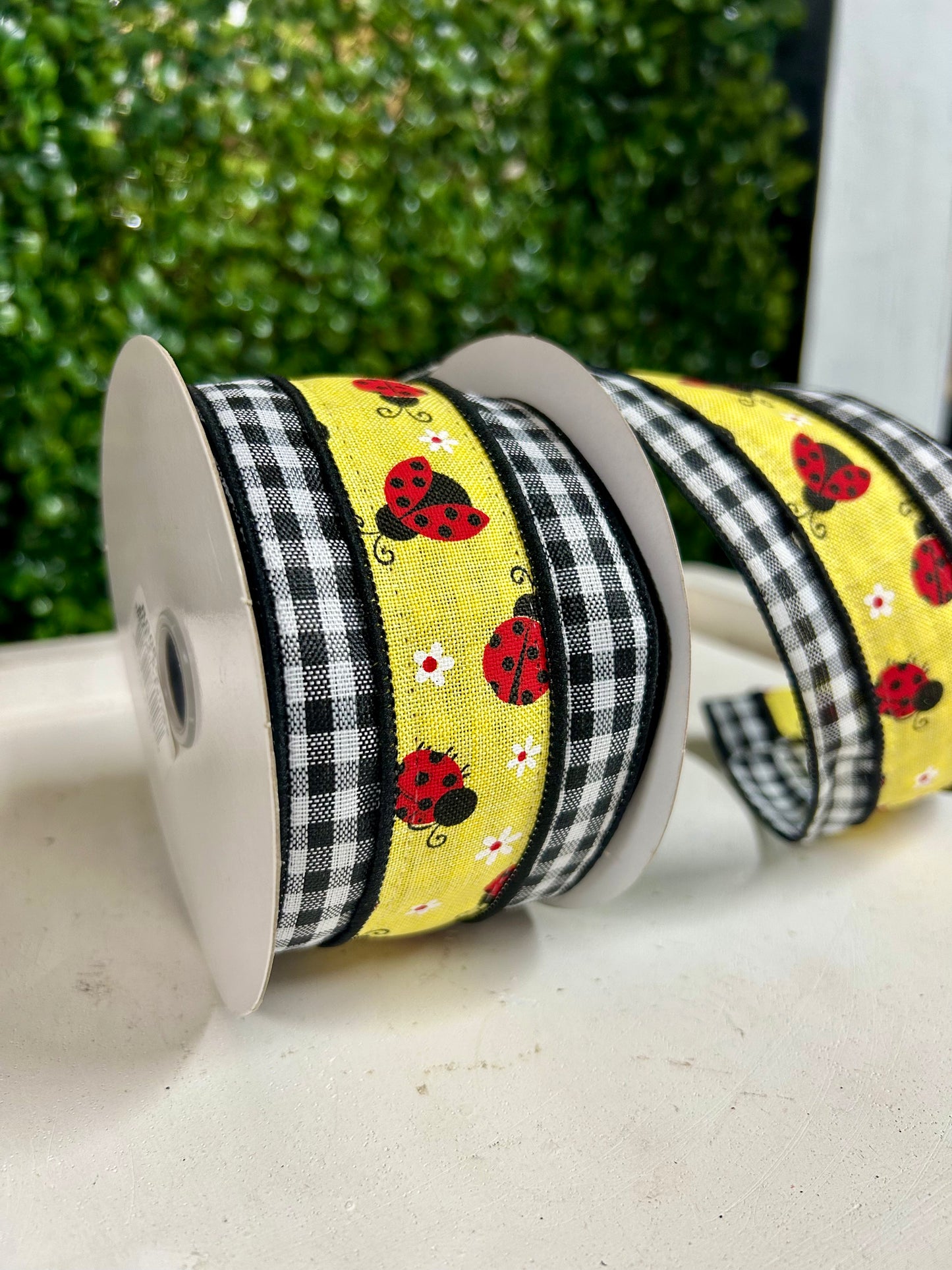2.5 Inch By 10 Yard Ladybug On Check Ribbon