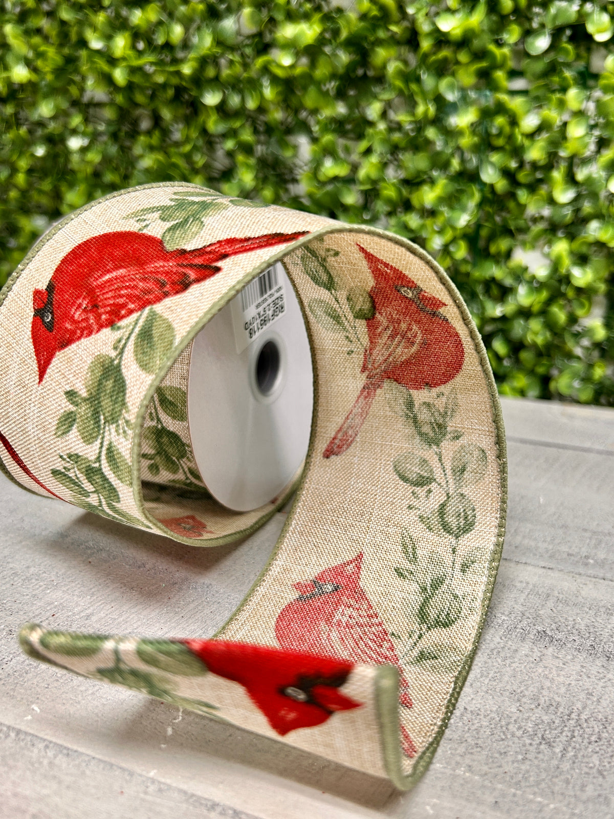 2.5 Inch By 10 Yard Cardinal With Eucalyptus Ribbon