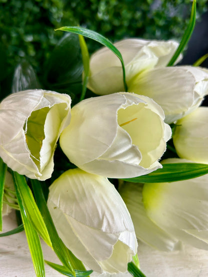 19 Inch Cream Tulip Bush