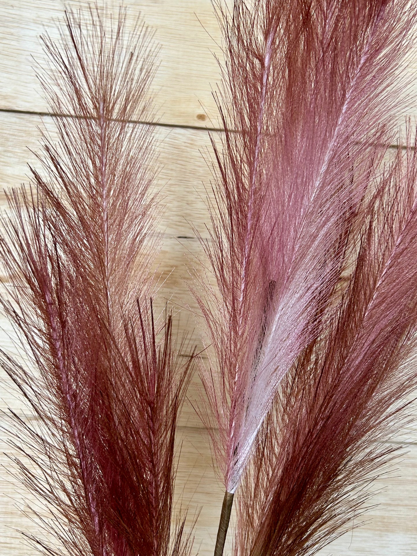 38 Inch Light Green And Dark Pink Plume Spray