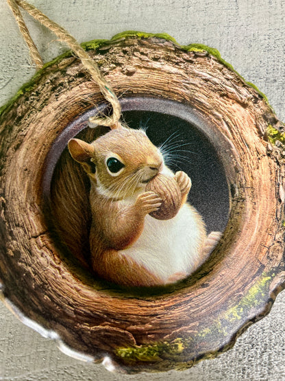 5.25 Inch Squirrel In A Tree Metal Sign