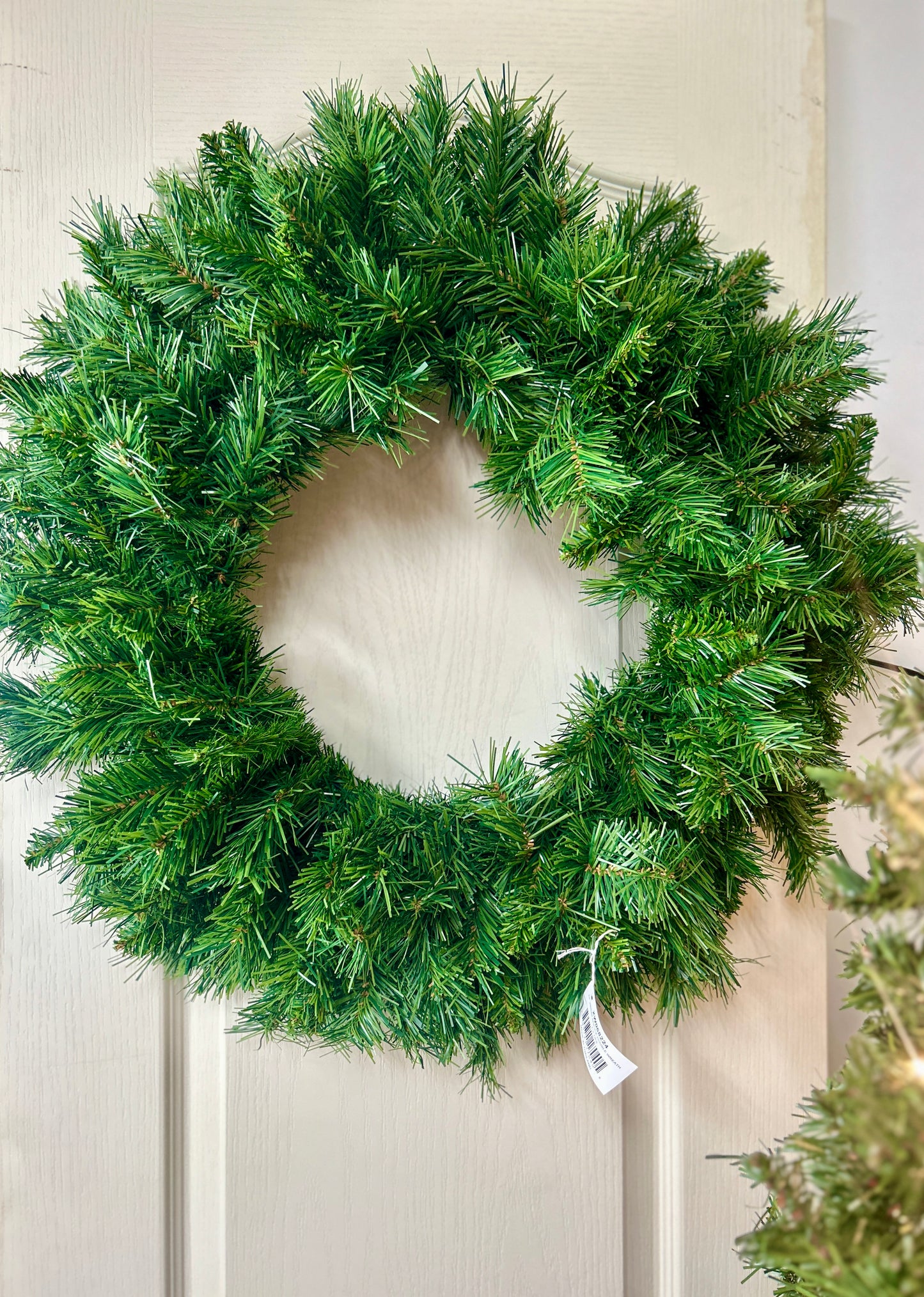 24 Inch Virginia Spruce Wreath