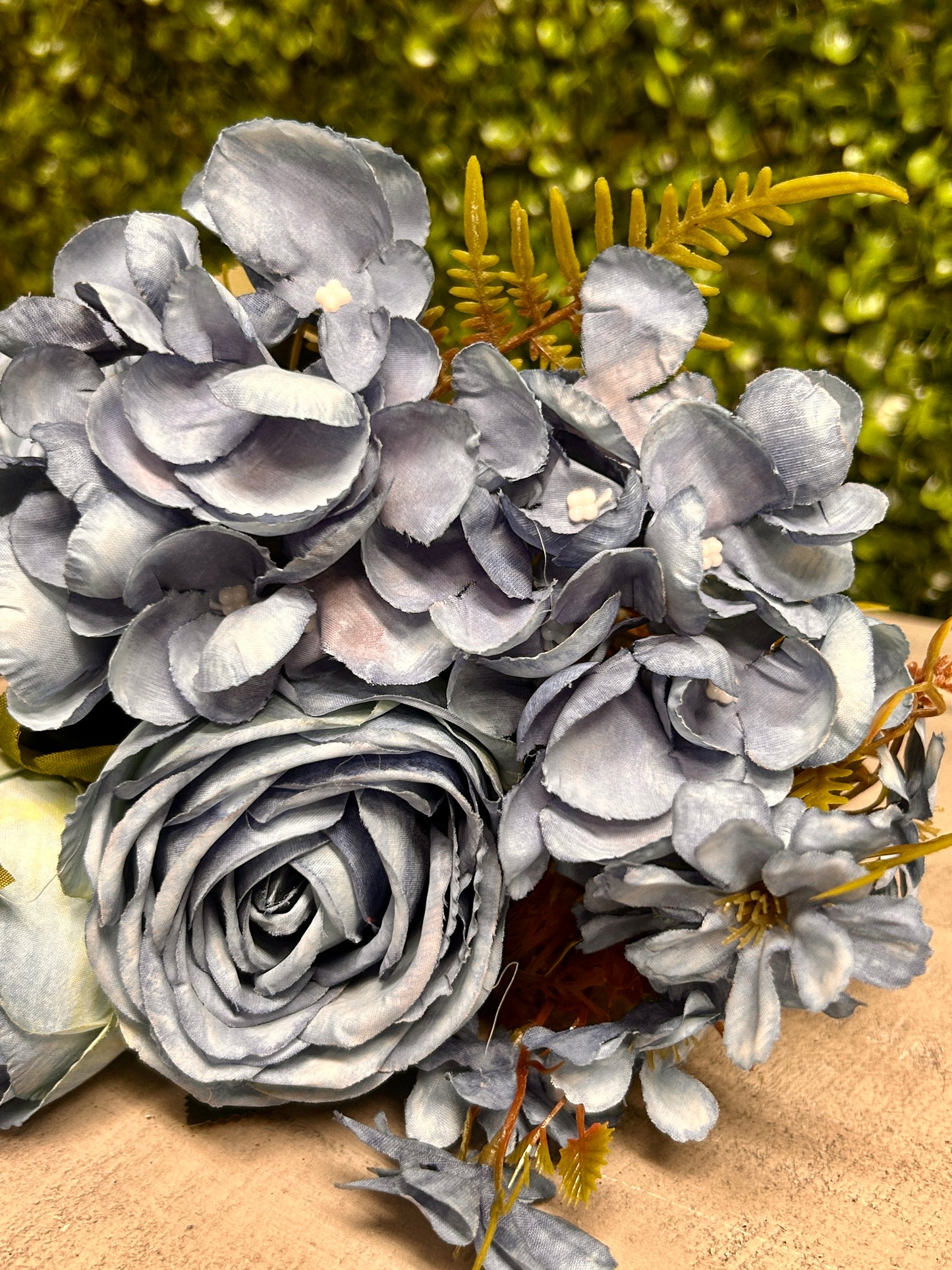 15 Inch Blue Rose Hydrangea Bush