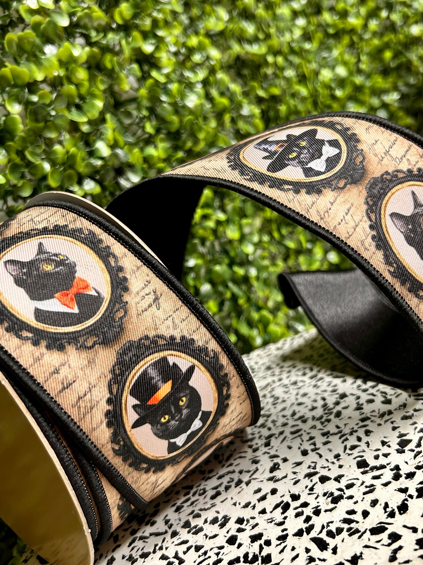 2.5 Inch By 10 Yard Black And Grey Vintage Black Cat Fused Ribbon
