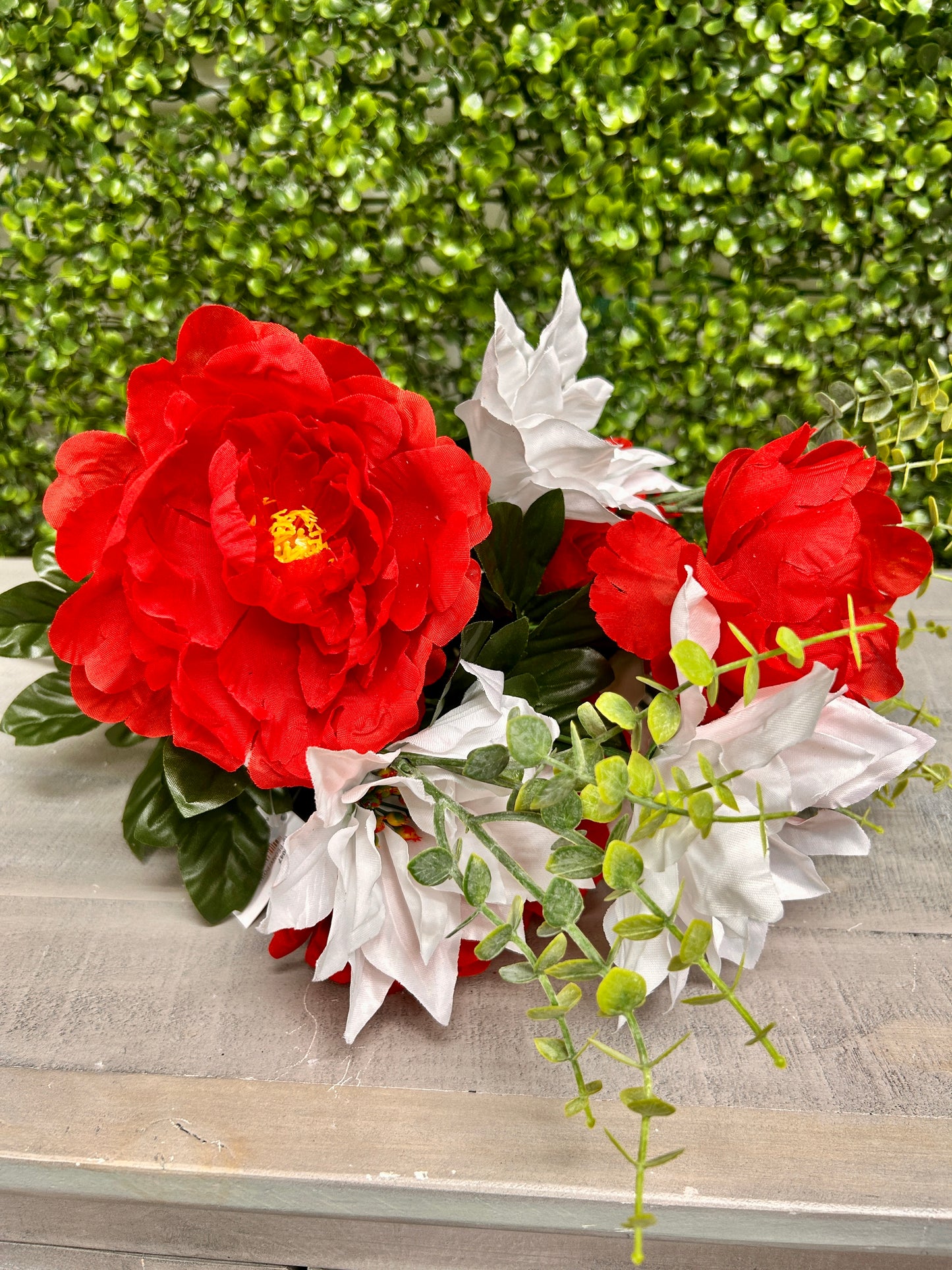19 Inch Red And White Peony Poinsettia Bush