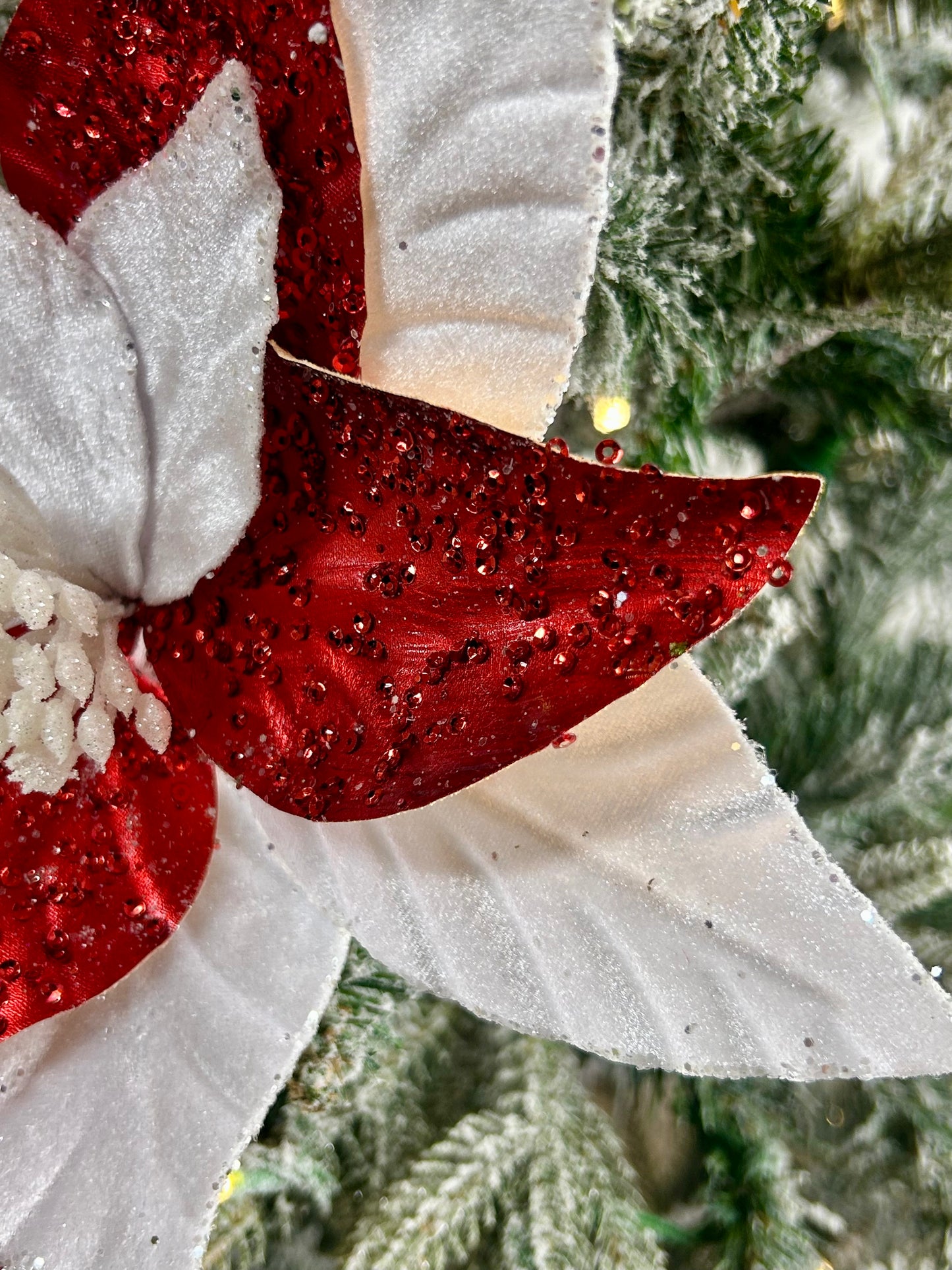 22 Inch Christmas Red And White Velvet Metallic Poinsettia