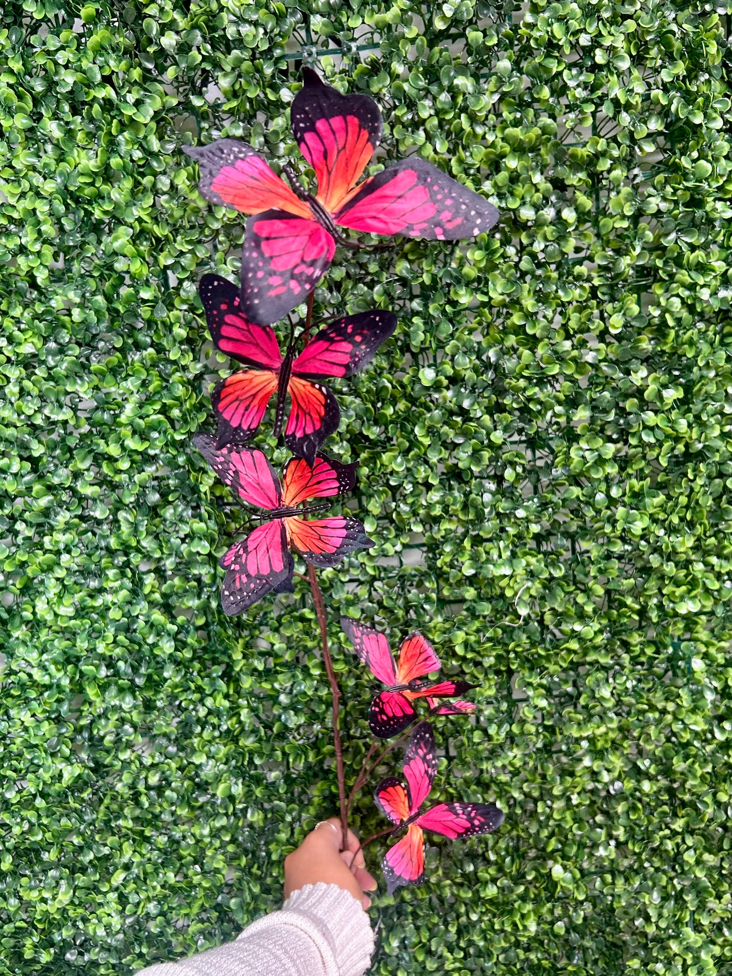42 Inch Hot Pink Butterfly Spray
