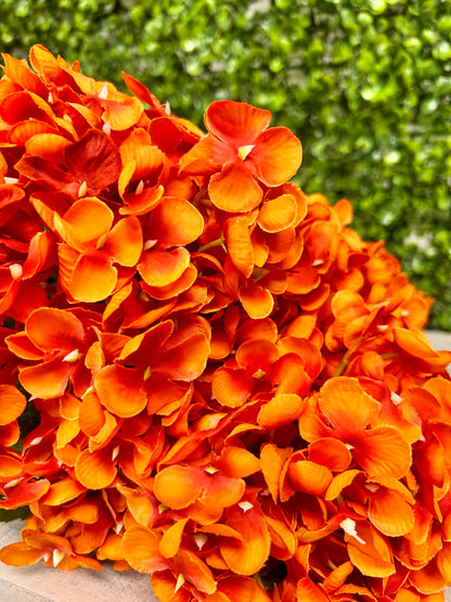 18 Inch Orange Hydrangea Bush