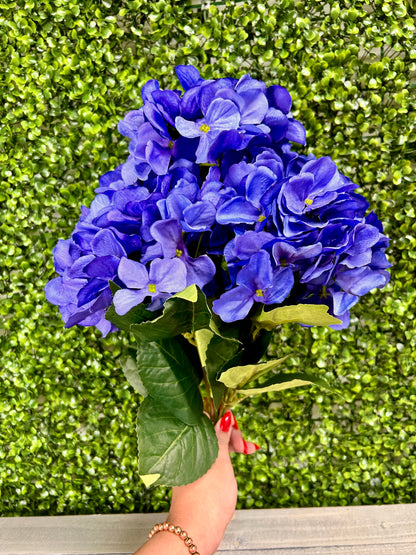 18 Inch Periwinkle Hydrangea Bush
