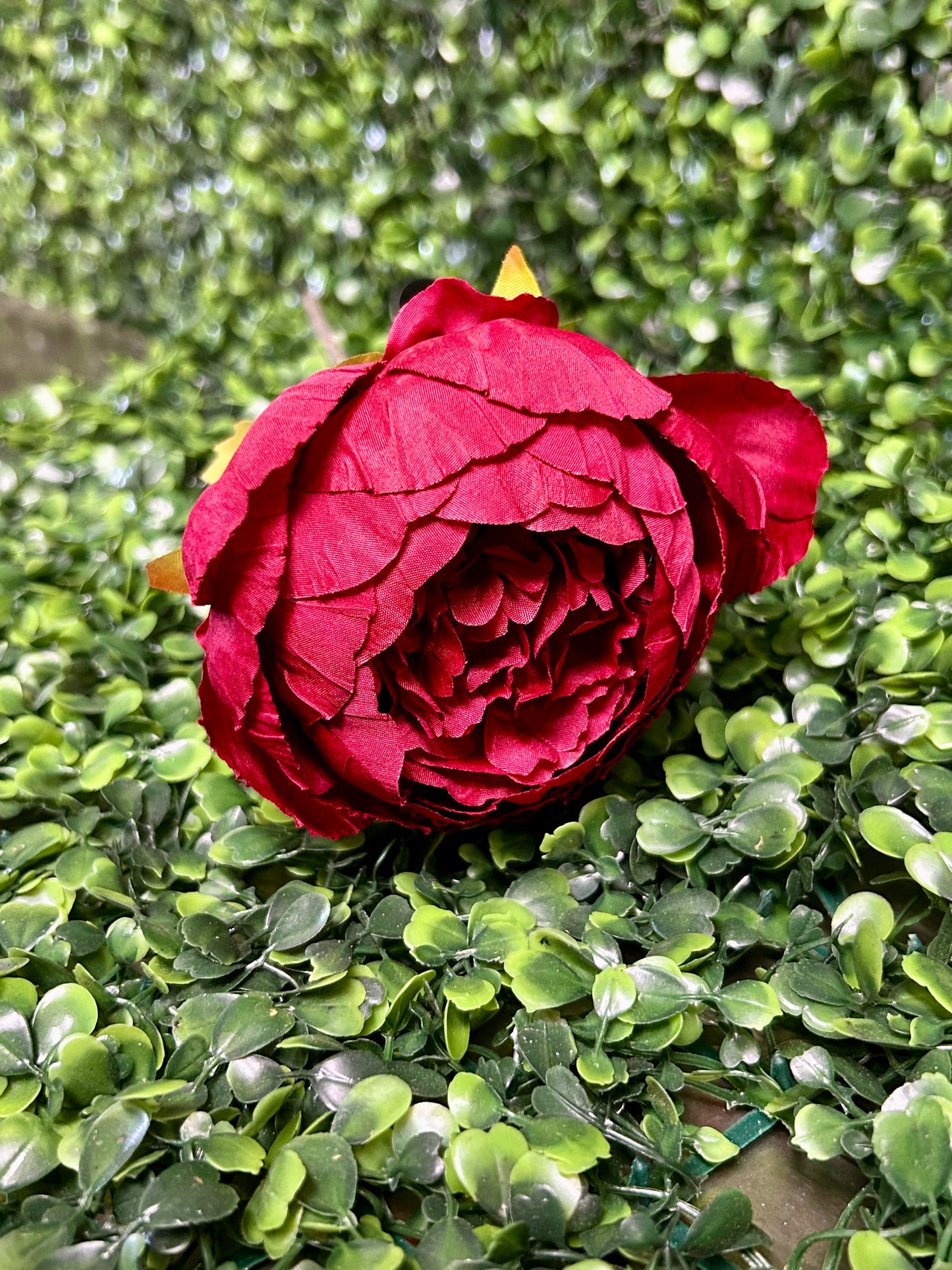 17.5 Inch Red Garden Peony Stem