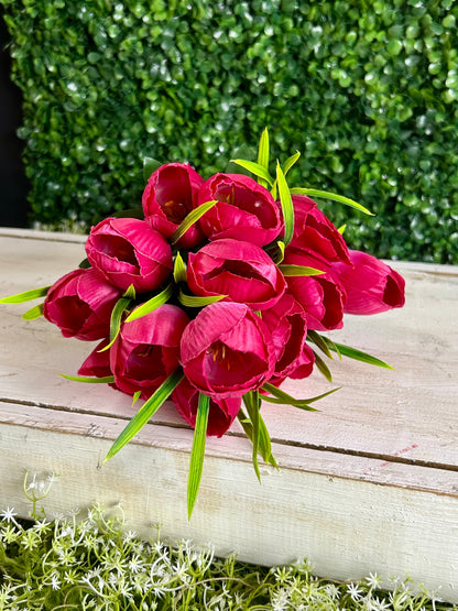 19 Inch Fuchsia Tulip Bush