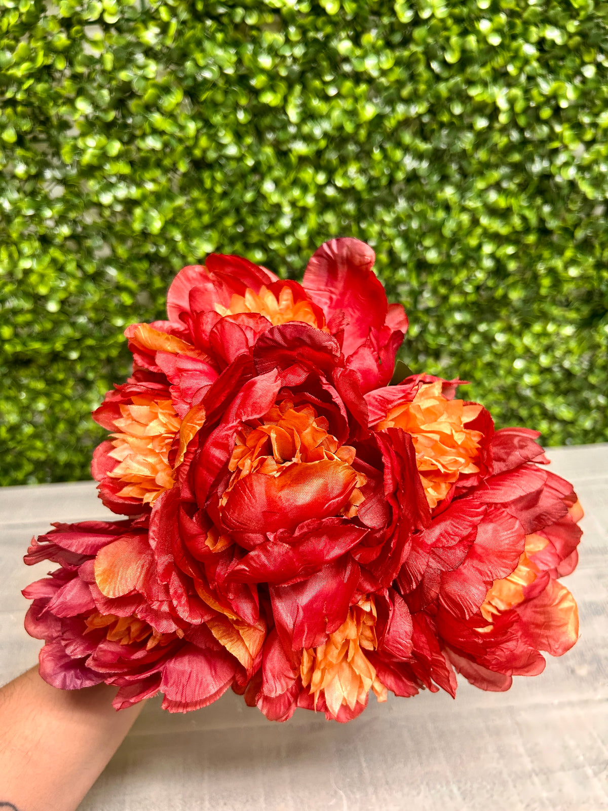 14 Inch Burgundy Peony Bush