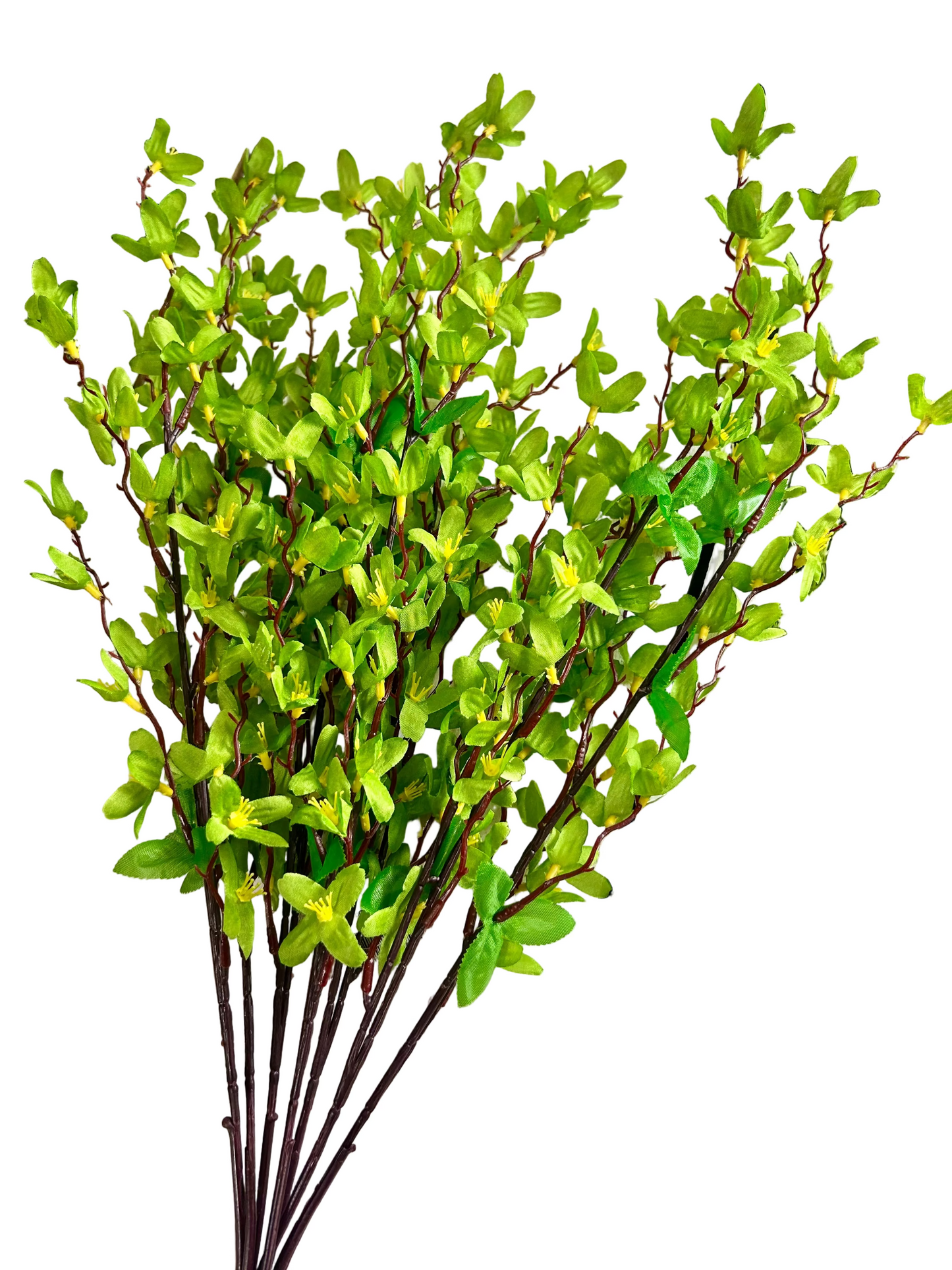 24 Inch Green Star Blossom Bush