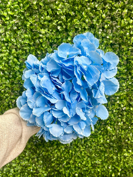 18 Inch Light Blue Southern Hydrangea Bush