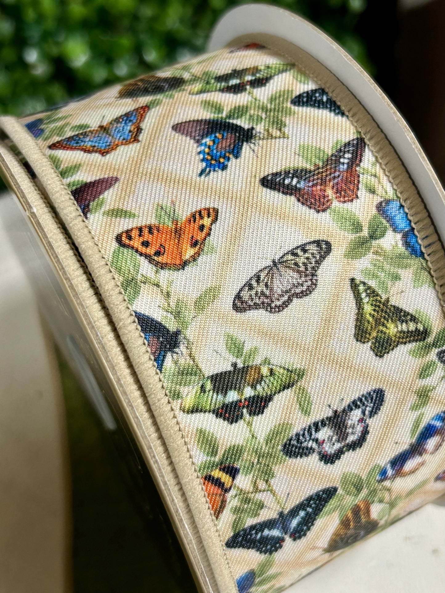 2.5 Inch By 10 Yard Vintage Butterfly Ribbon