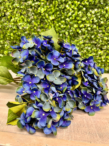 18 Inch Royal Blue Hydrangea Bush