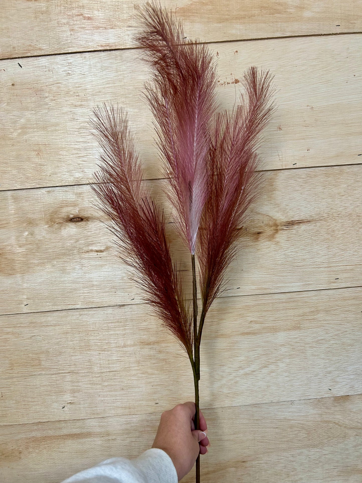 38 Inch Light Green And Dark Pink Plume Spray