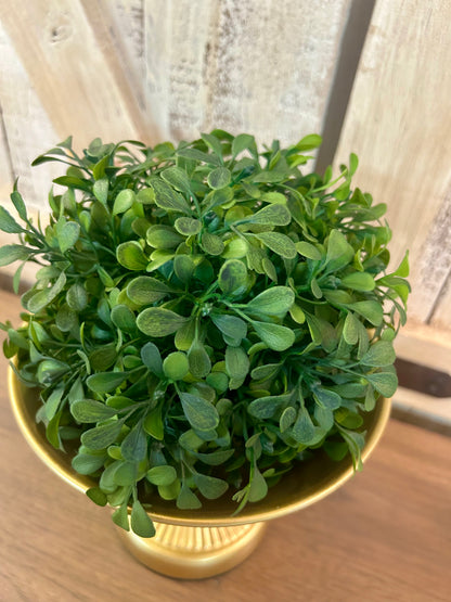 6 Inch Green Boxwood Kissing Ball