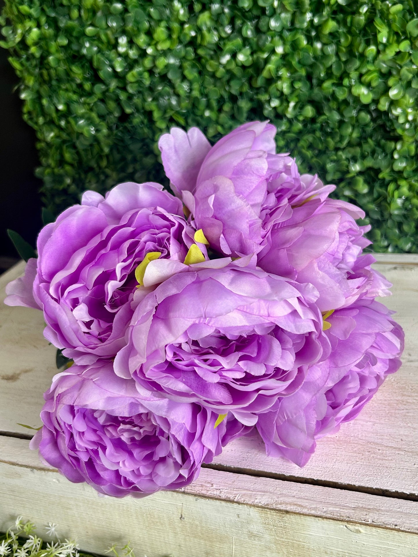 17 Inch Lavender Garden Peony Bush