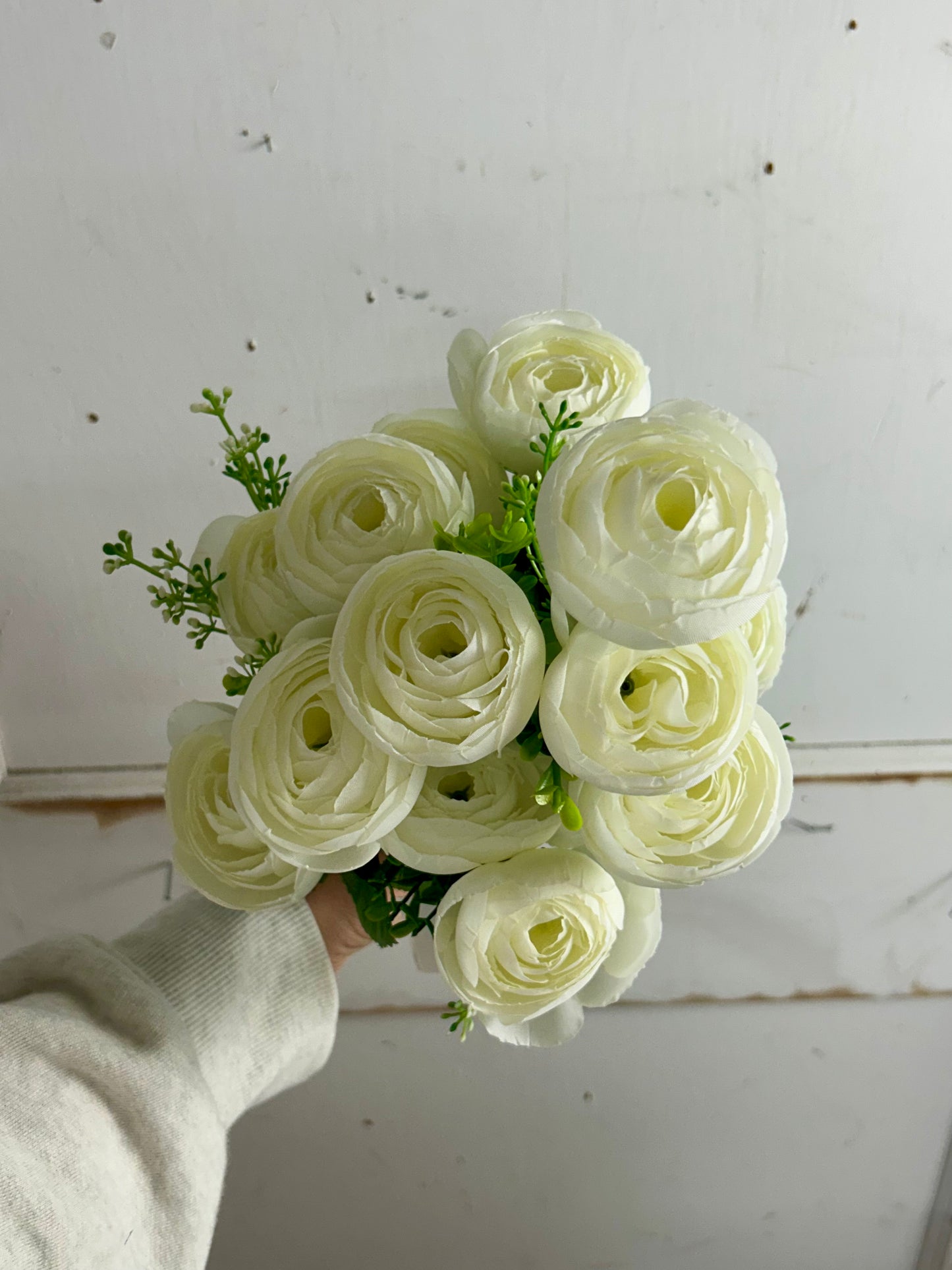 Cream Ranunculus Bush