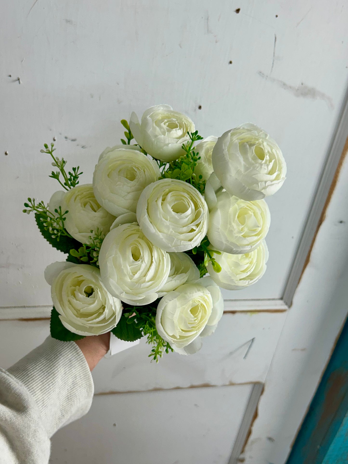 Cream Ranunculus Bush