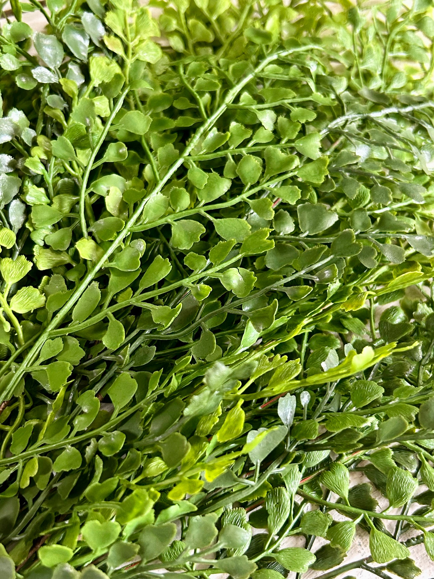 19 Inch Green Maidenhair Fern Bush