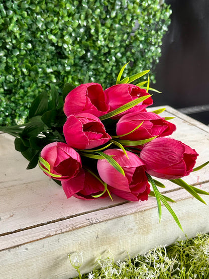 19 Inch Fuchsia Tulip Bush