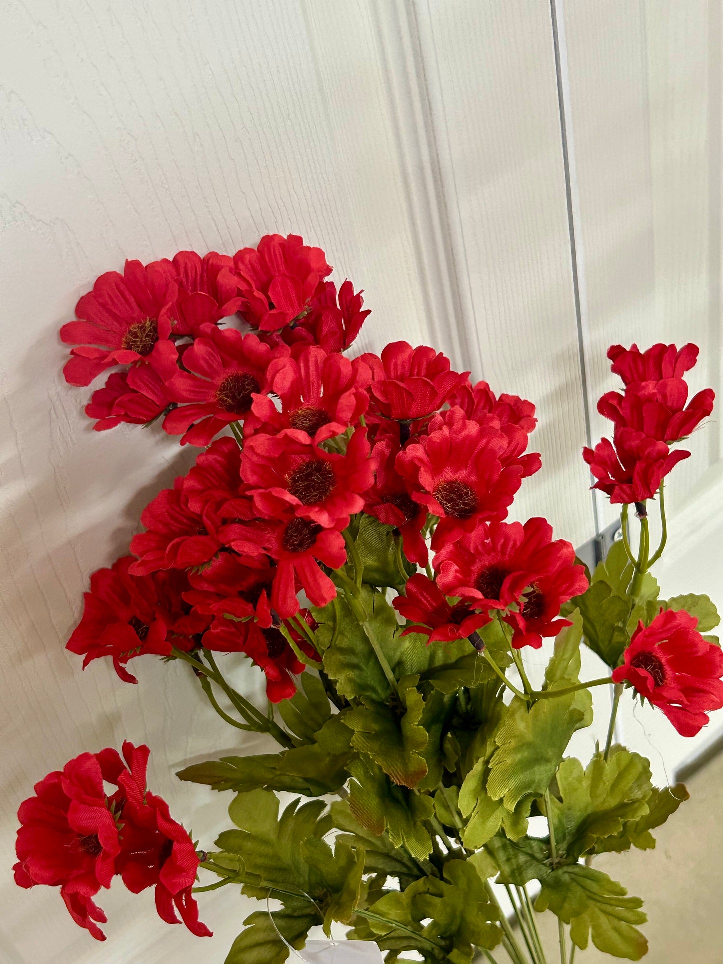 19.5 Inch Red Wild Daisy Bush