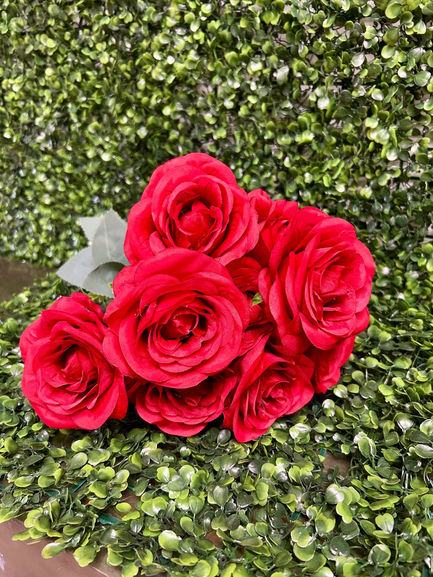 17 Inch Red Southern Rose Bush