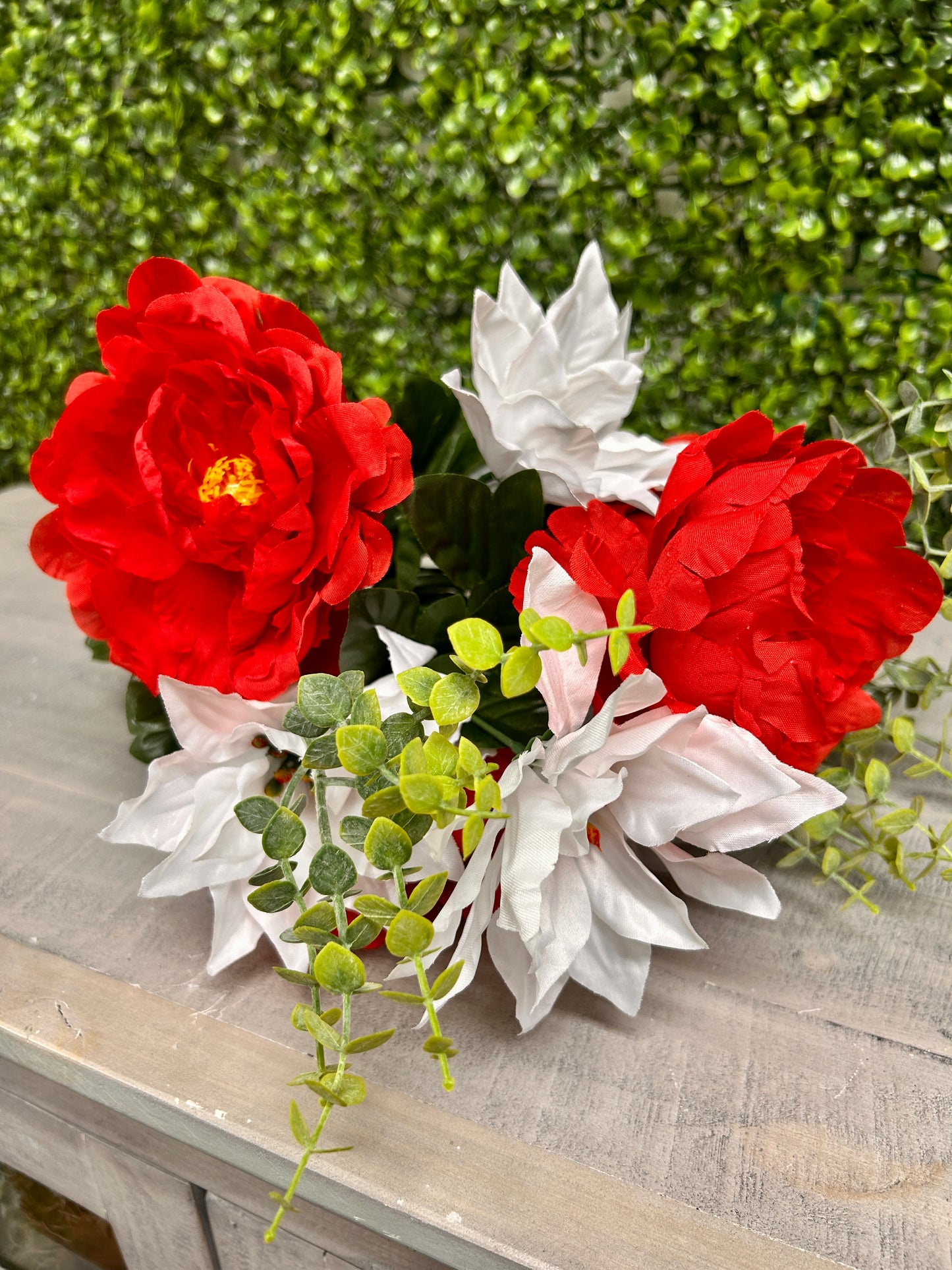 19 Inch Red And White Peony Poinsettia Bush