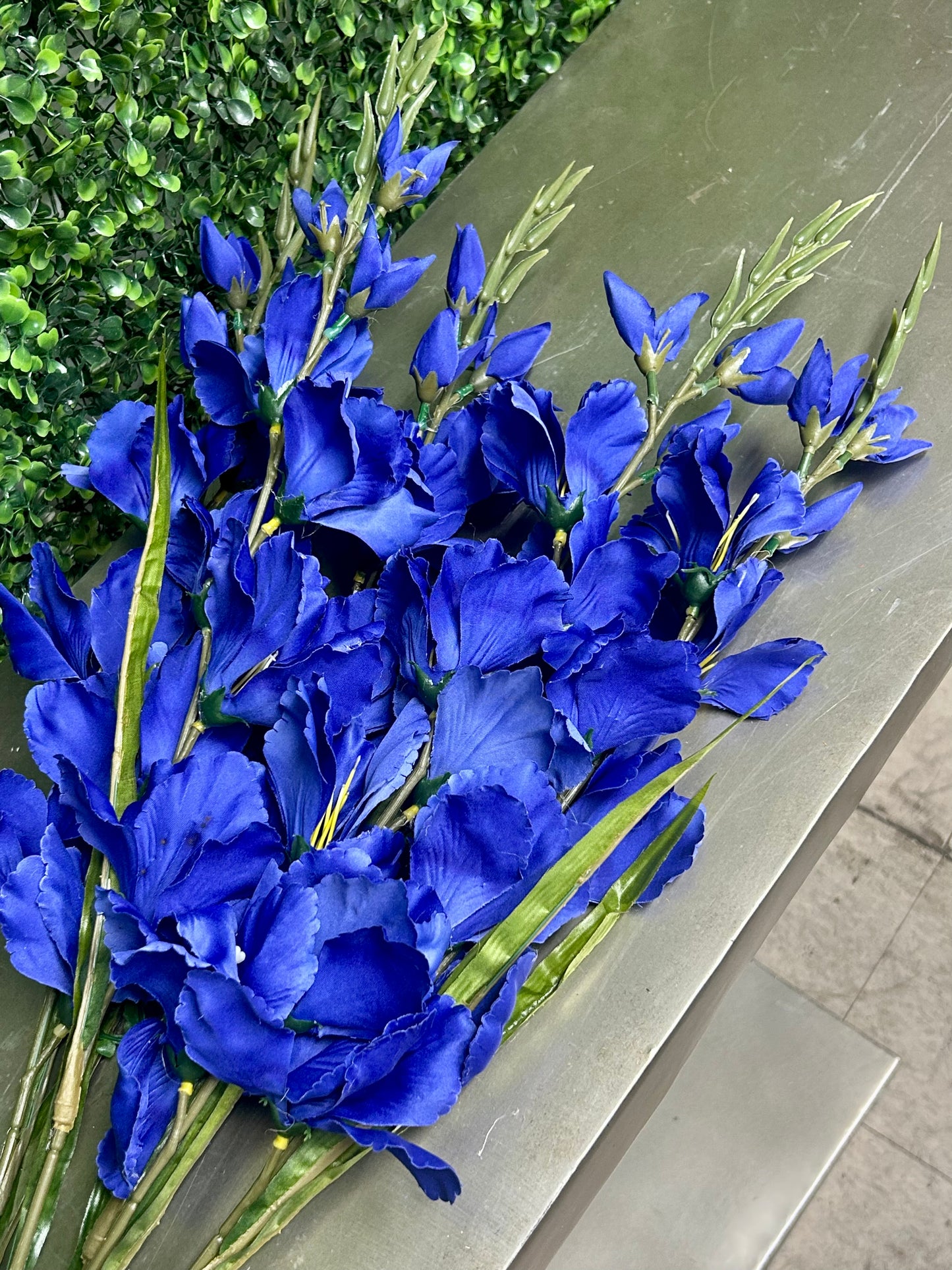 32 Inch Royal Blue Gladiolas Bush