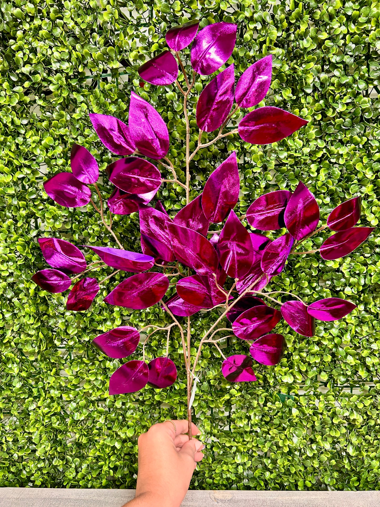 23 Inch Purple Metallic Ficus Spray