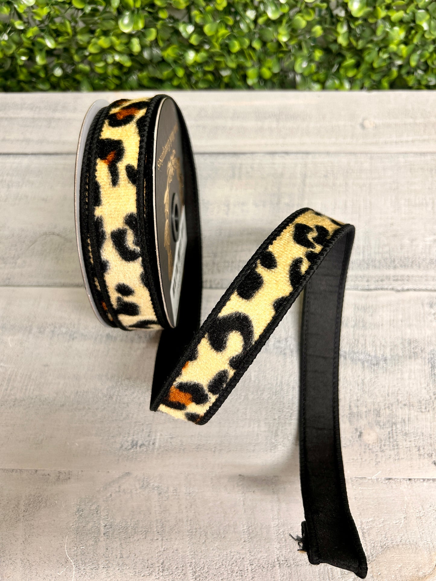 John Mark 1 Inch By 10 Yard Dupioni Fused Tan Leopard Pattern Ribbon