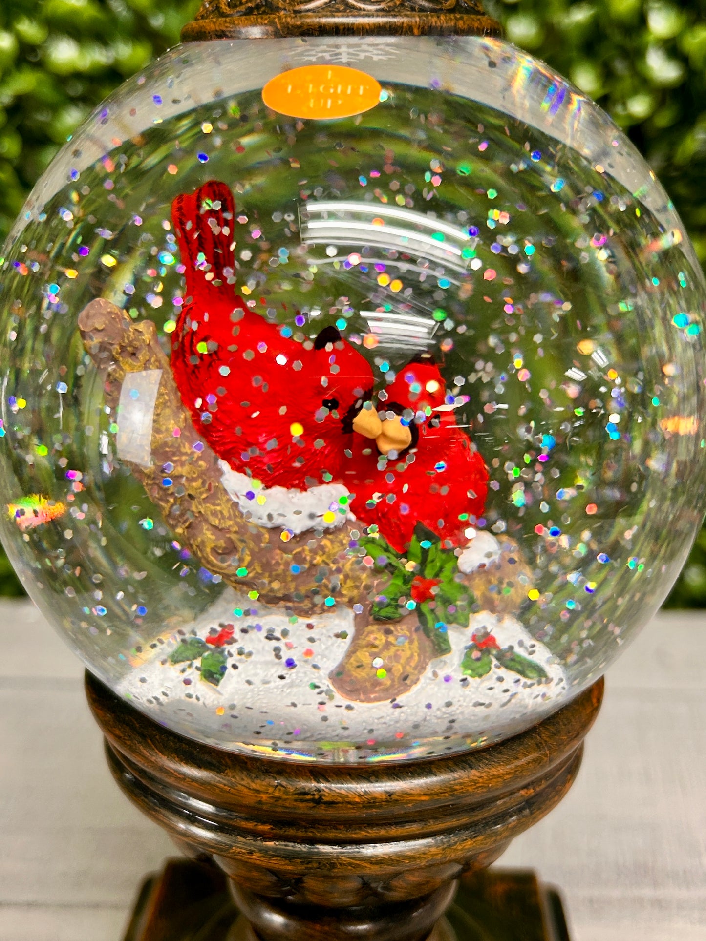 Acrylic Cardinal Globe On Stand With Sound Two Assorted