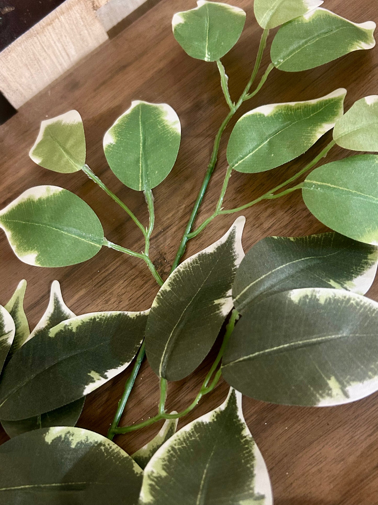 23 Inch Silk Ficus Leaf Spray